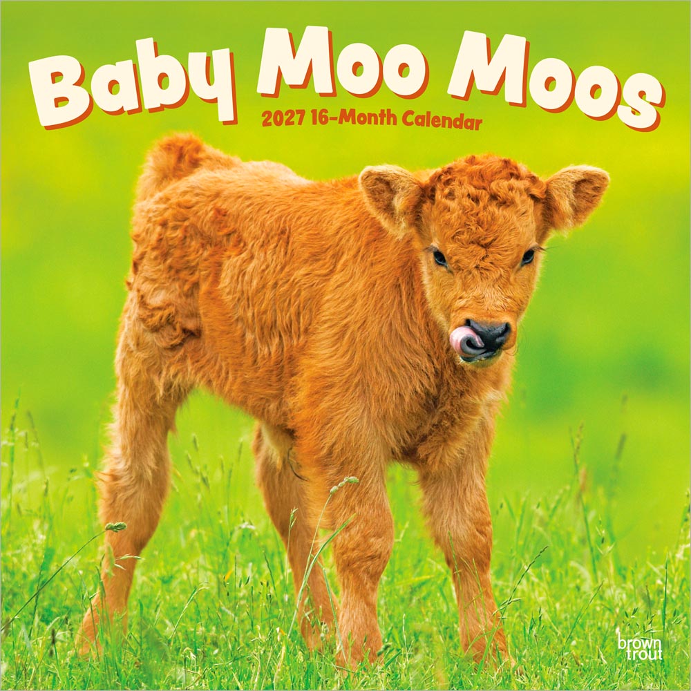 Baby Moo Moos | 2027 12 x 24 Inch (Hanging) Monthly Square Wall Calendar