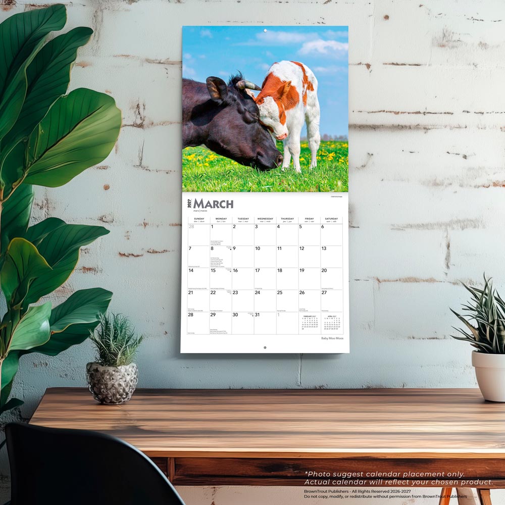 Baby Moo Moos | 2027 12 x 24 Inch (Hanging) Monthly Square Wall Calendar