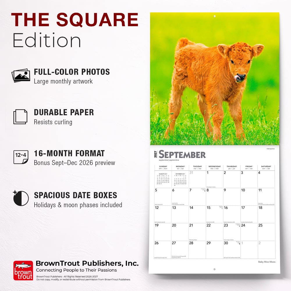 Baby Moo Moos | 2027 12 x 24 Inch (Hanging) Monthly Square Wall Calendar