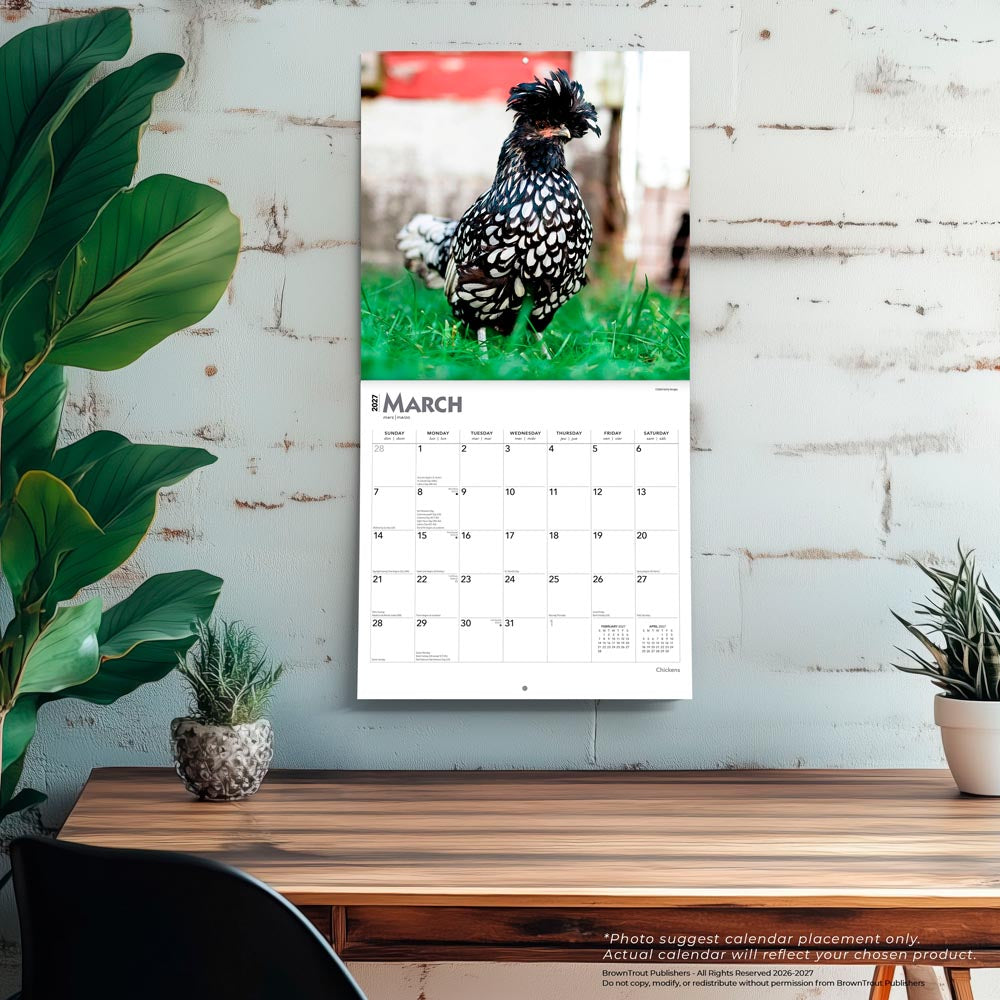 Chickens | 2027 12 x 24 Inch (Hanging) Monthly Square Wall Calendar