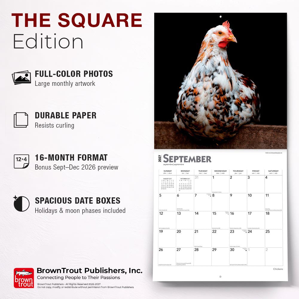 Chickens | 2027 12 x 24 Inch (Hanging) Monthly Square Wall Calendar