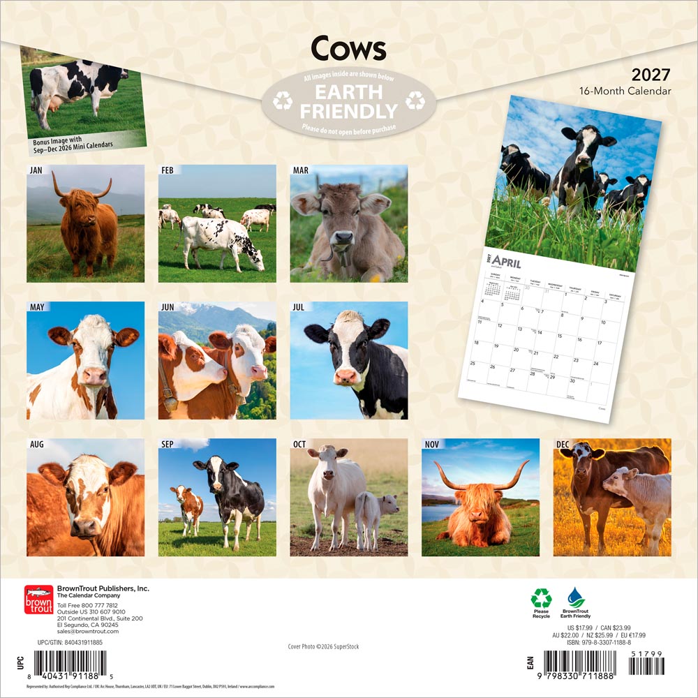 Cows | 2027 12 x 24 Inch (Hanging) Monthly Square Wall Calendar