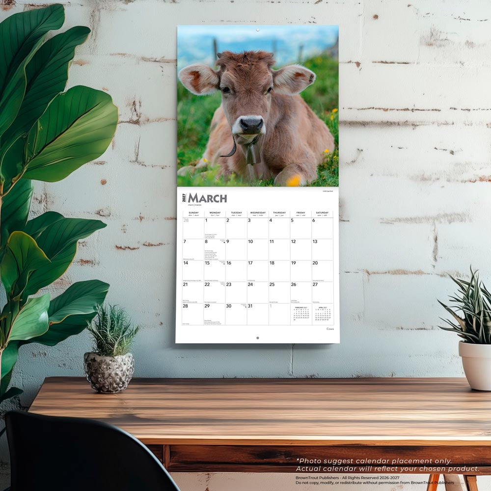 Cows | 2027 12 x 24 Inch (Hanging) Monthly Square Wall Calendar