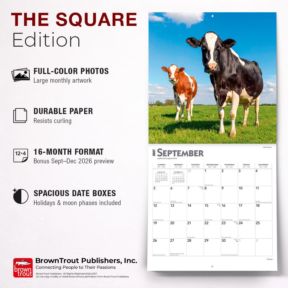 Cows | 2027 12 x 24 Inch (Hanging) Monthly Square Wall Calendar