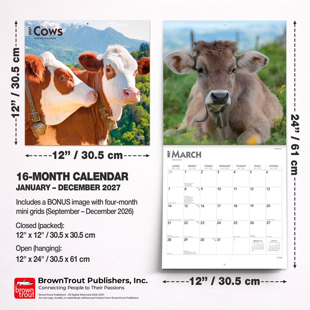Cows | 2027 12 x 24 Inch (Hanging) Monthly Square Wall Calendar