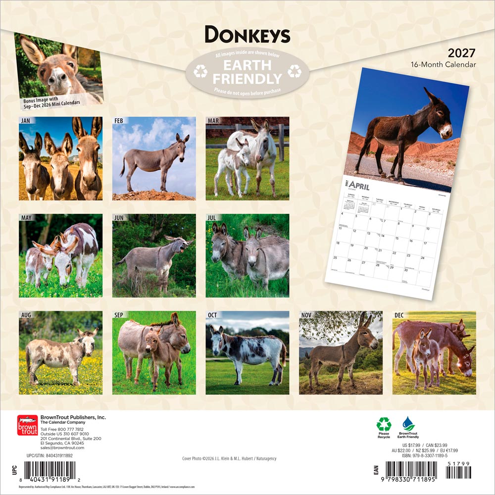 Donkeys | 2027 12 x 24 Inch (Hanging) Monthly Square Wall Calendar