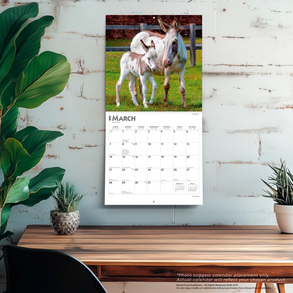 Donkeys | 2027 12 x 24 Inch (Hanging) Monthly Square Wall Calendar