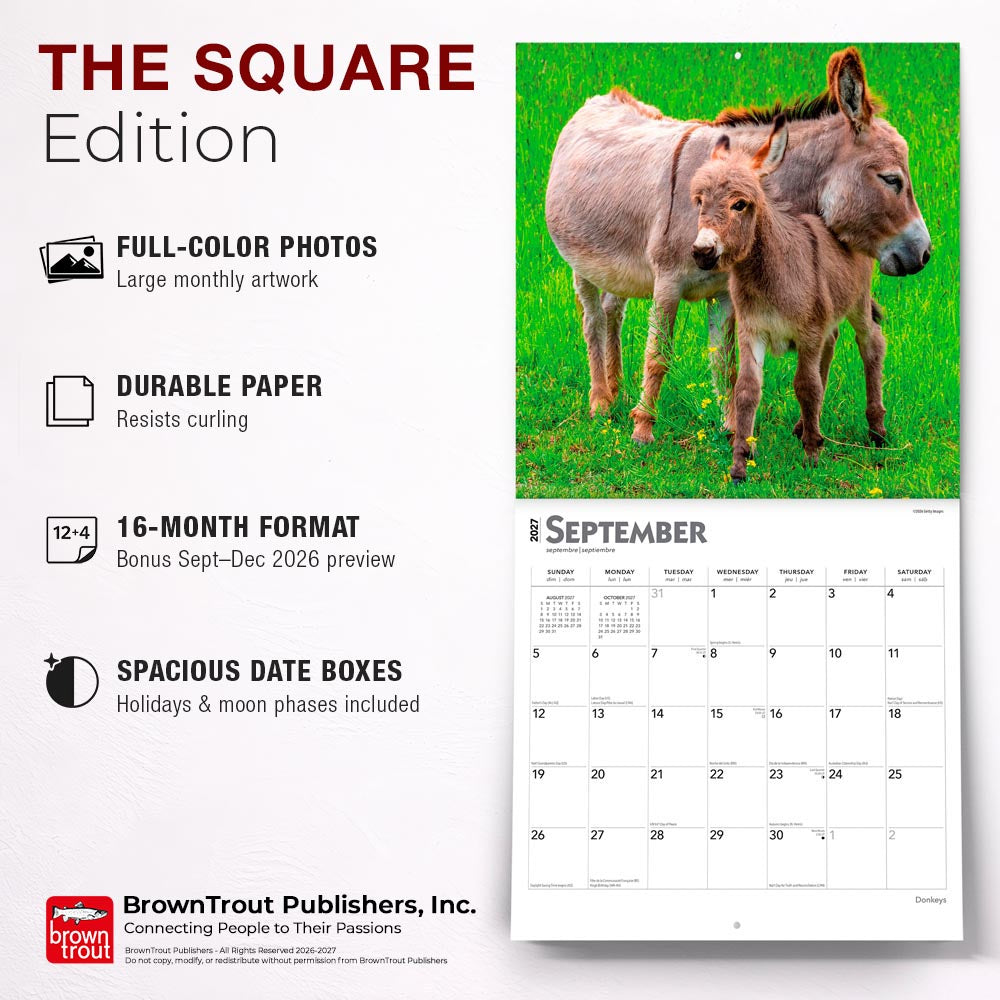 Donkeys | 2027 12 x 24 Inch (Hanging) Monthly Square Wall Calendar