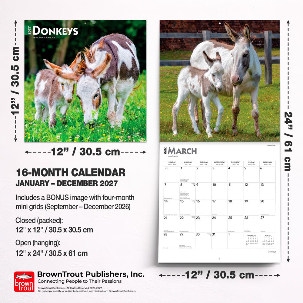 Donkeys | 2027 12 x 24 Inch (Hanging) Monthly Square Wall Calendar