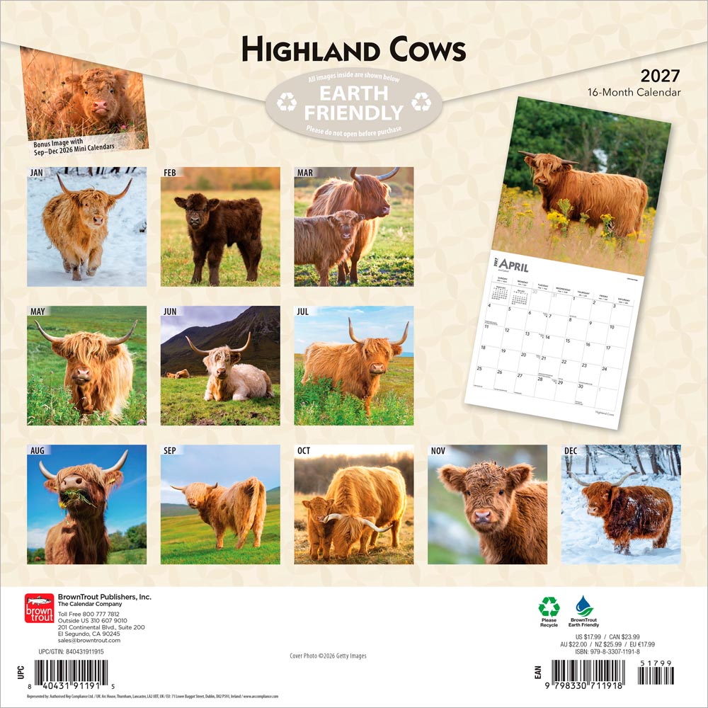 Highland Cows | 2027 12 x 24 Inch (Hanging) Monthly Square Wall Calendar