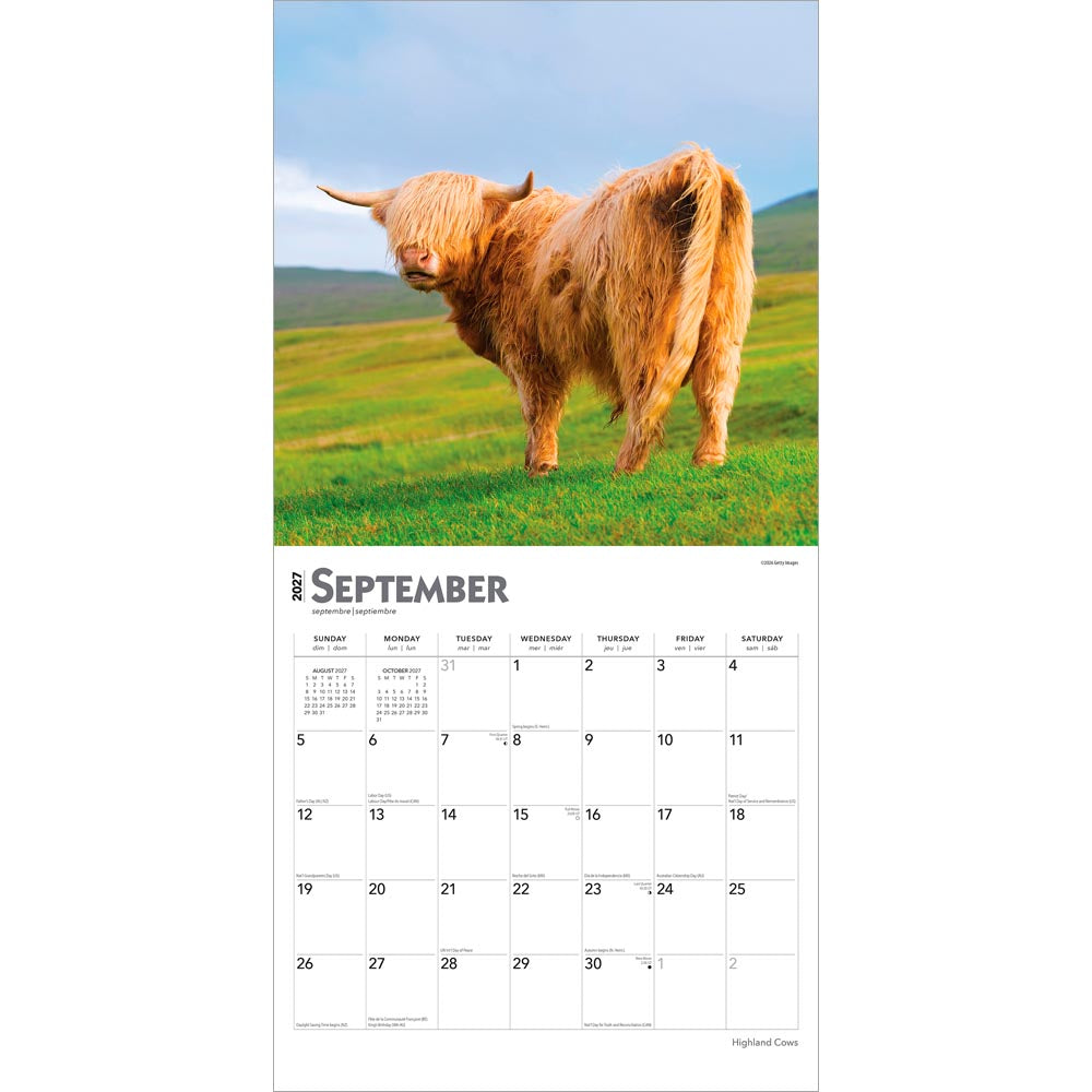 Highland Cows | 2027 12 x 24 Inch (Hanging) Monthly Square Wall Calendar
