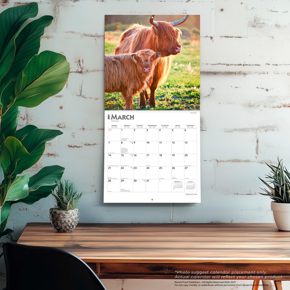Highland Cows | 2027 12 x 24 Inch (Hanging) Monthly Square Wall Calendar