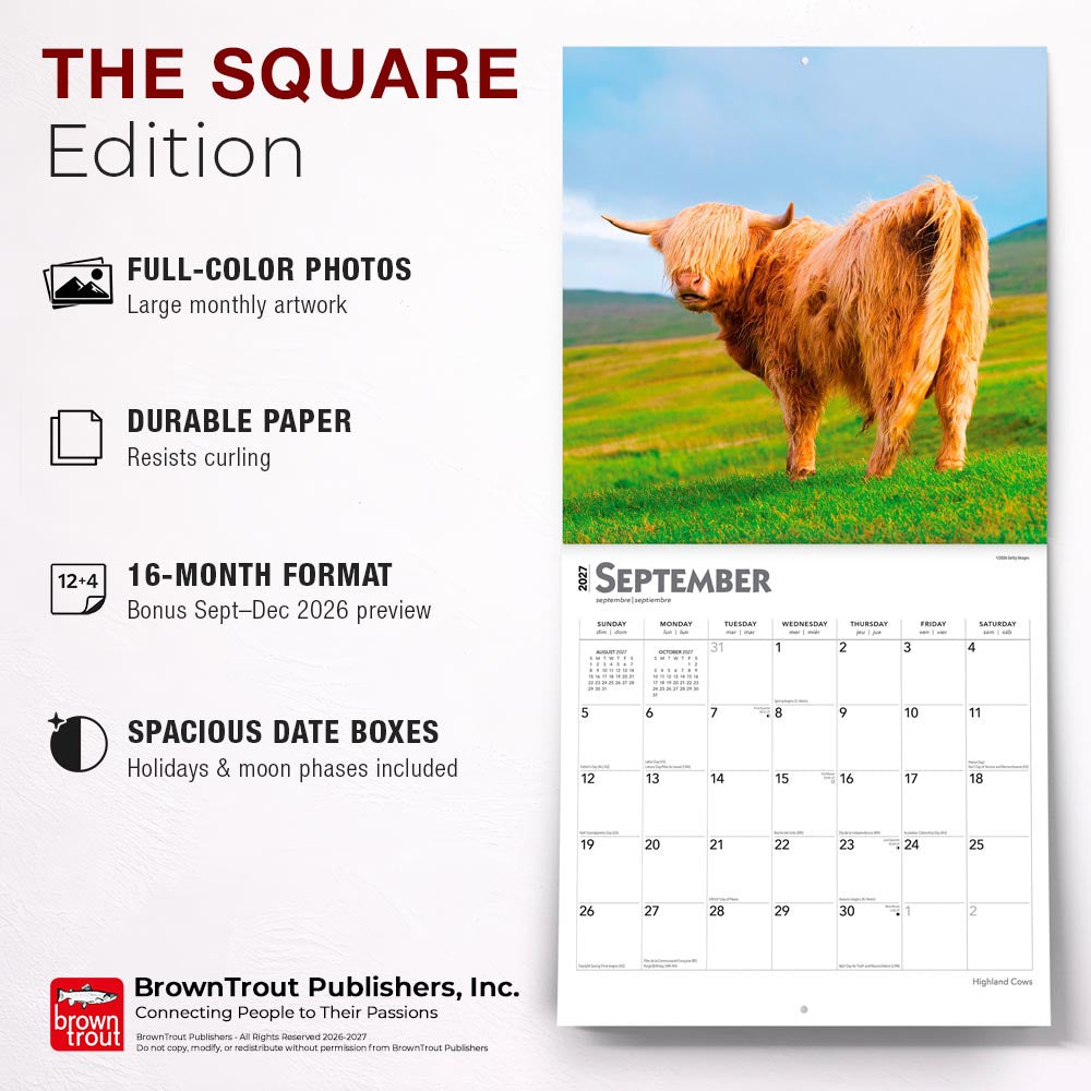 Highland Cows | 2027 12 x 24 Inch (Hanging) Monthly Square Wall Calendar