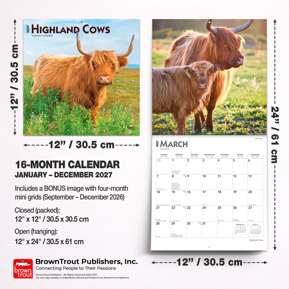 Highland Cows | 2027 12 x 24 Inch (Hanging) Monthly Square Wall Calendar
