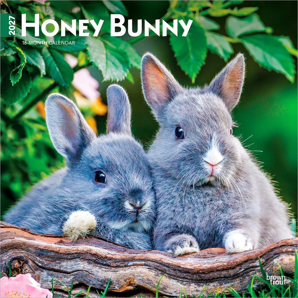 Honey Bunny | 2027 12 x 24 Inch (Hanging) Monthly Square Wall Calendar