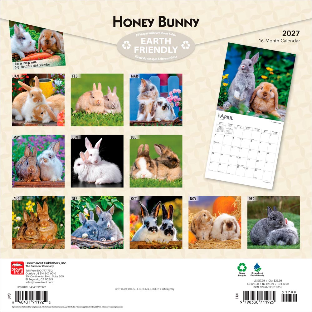 Honey Bunny | 2027 12 x 24 Inch (Hanging) Monthly Square Wall Calendar