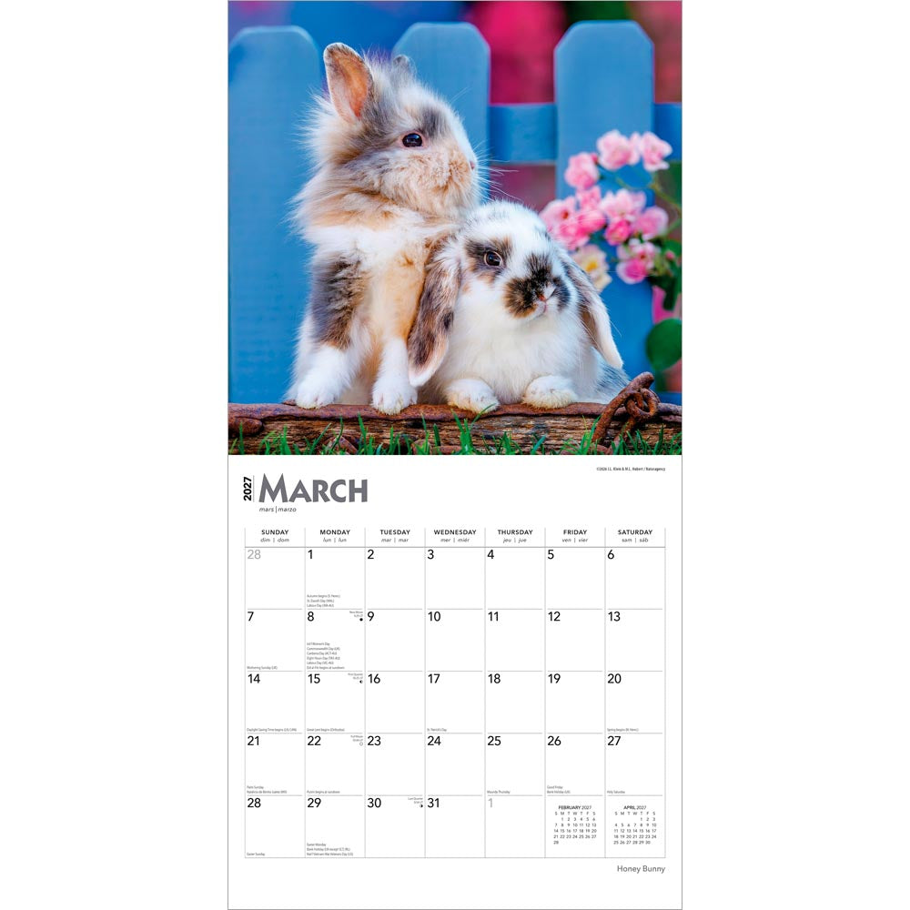 Honey Bunny | 2027 12 x 24 Inch (Hanging) Monthly Square Wall Calendar