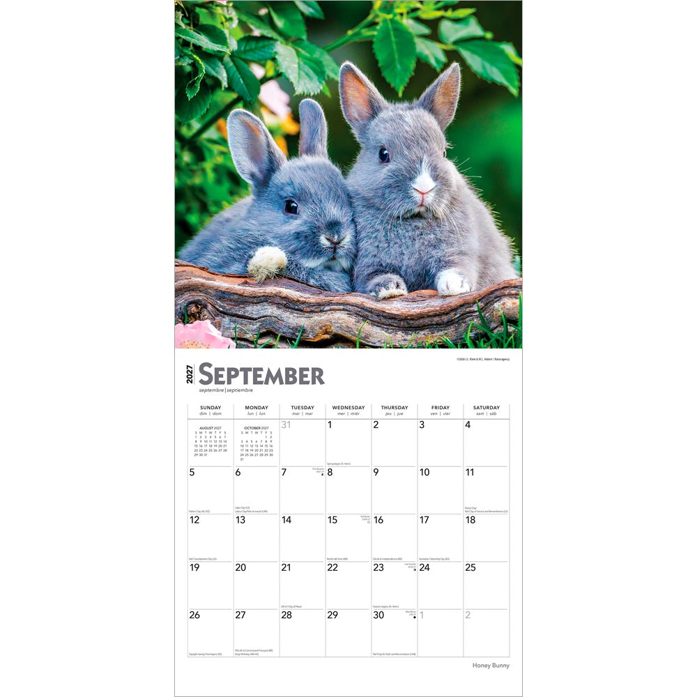 Honey Bunny | 2027 12 x 24 Inch (Hanging) Monthly Square Wall Calendar