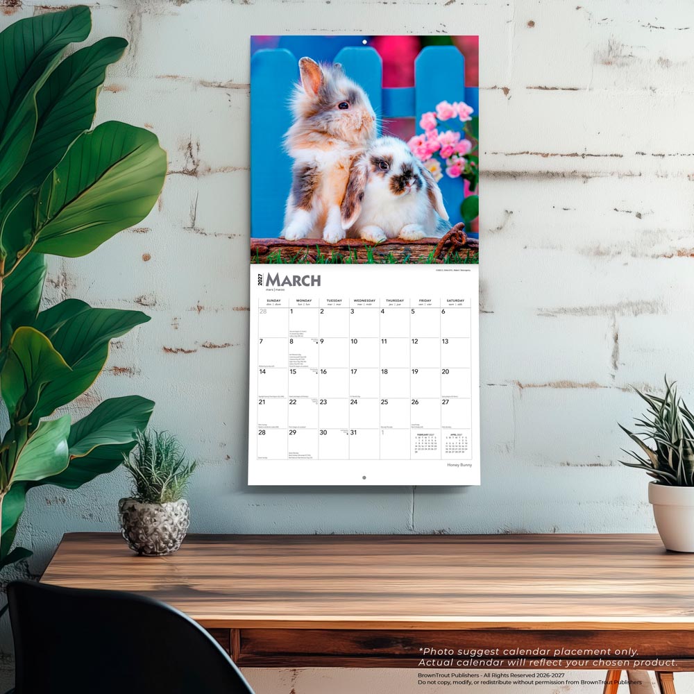 Honey Bunny | 2027 12 x 24 Inch (Hanging) Monthly Square Wall Calendar