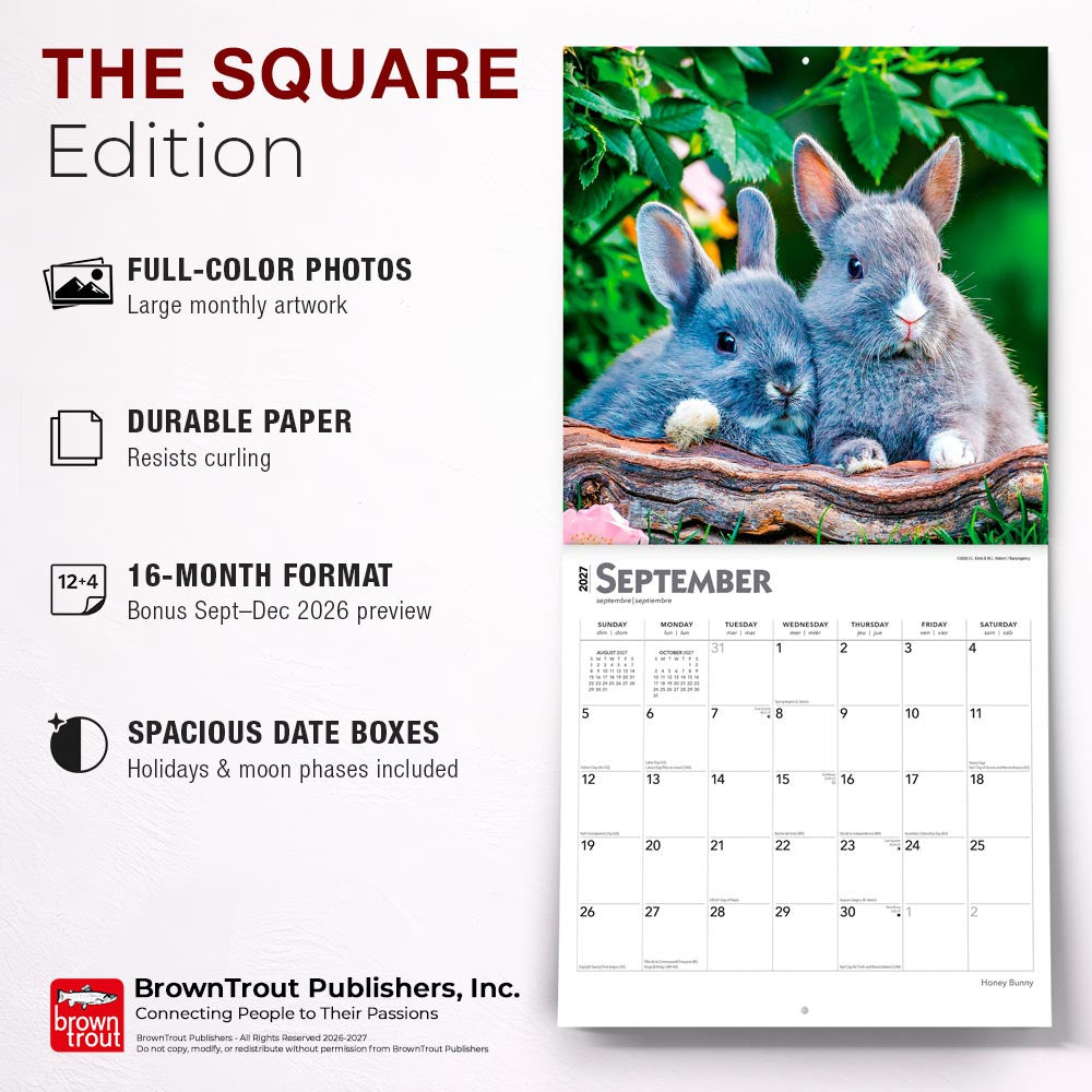 Honey Bunny | 2027 12 x 24 Inch (Hanging) Monthly Square Wall Calendar