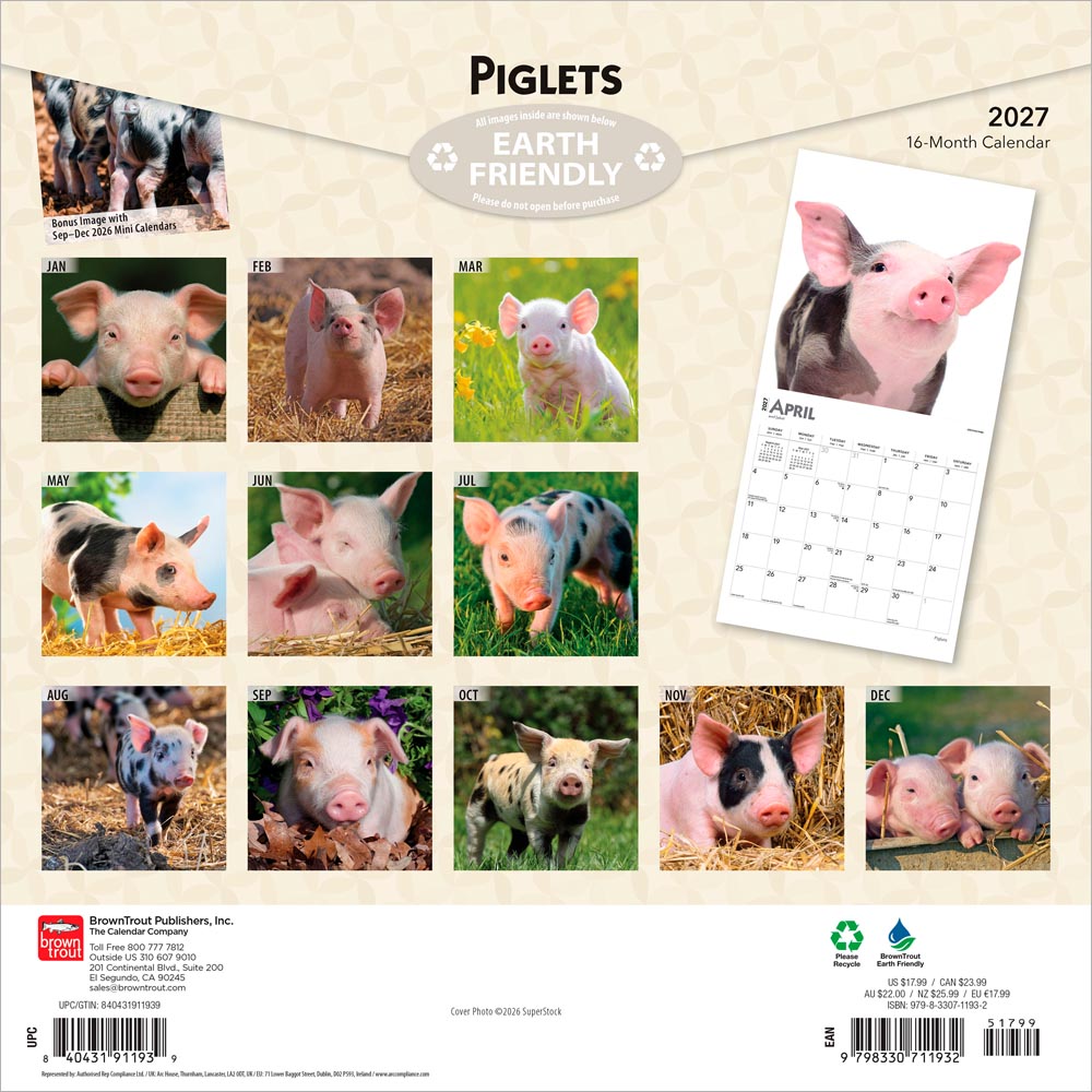 Piglets | 2027 12 x 24 Inch (Hanging) Monthly Square Wall Calendar