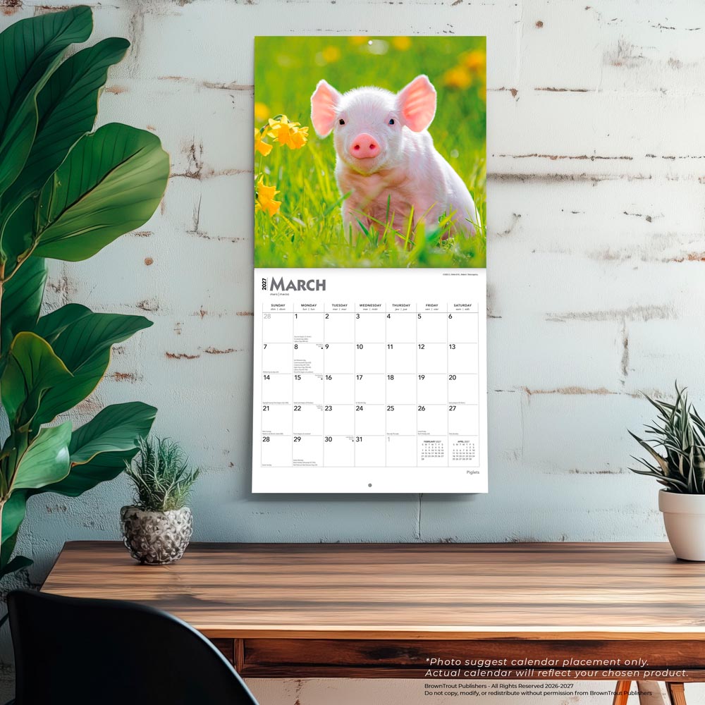 Piglets | 2027 12 x 24 Inch (Hanging) Monthly Square Wall Calendar
