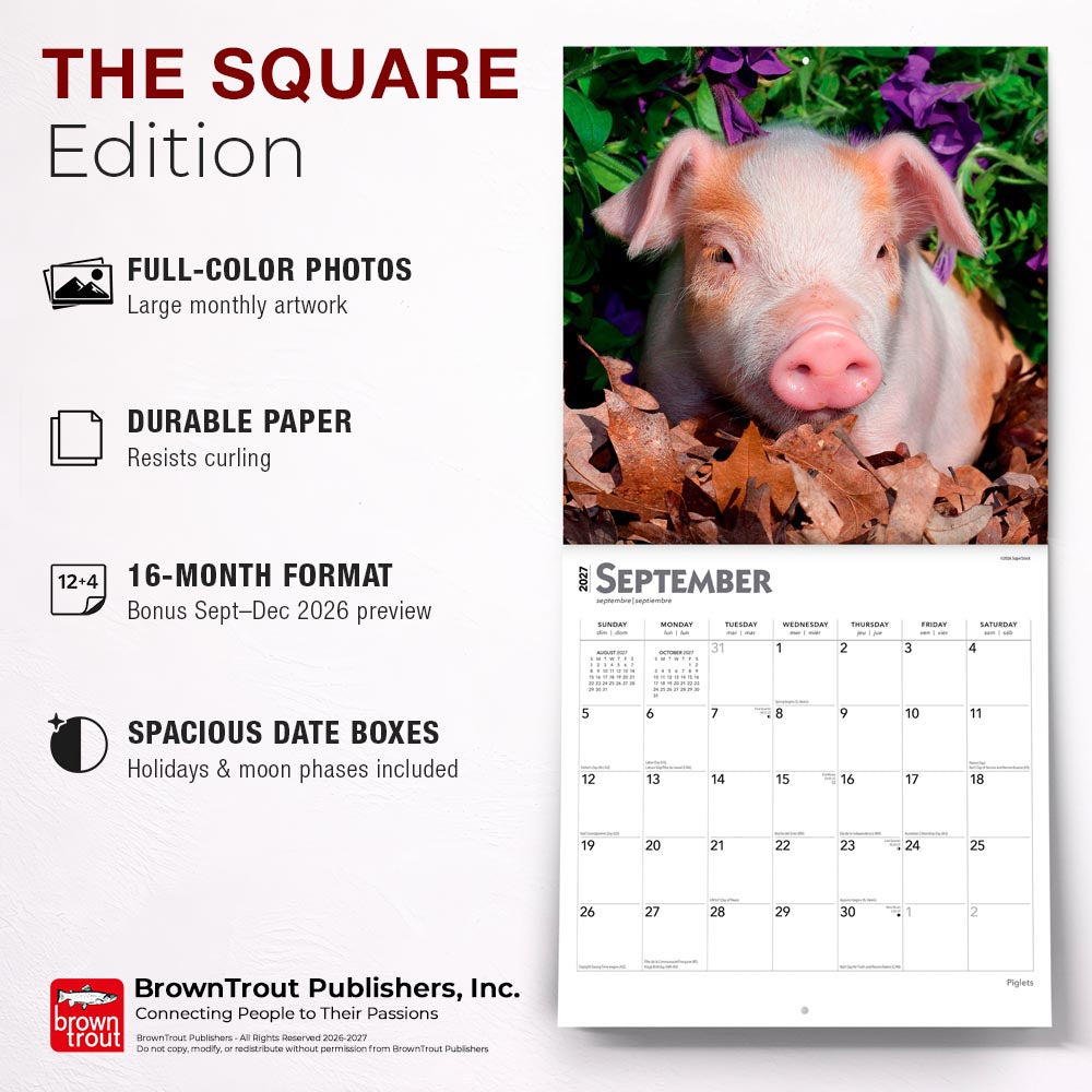 Piglets | 2027 12 x 24 Inch (Hanging) Monthly Square Wall Calendar