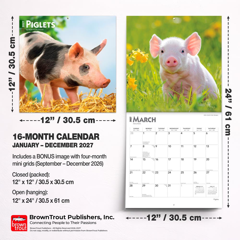 Piglets | 2027 12 x 24 Inch (Hanging) Monthly Square Wall Calendar