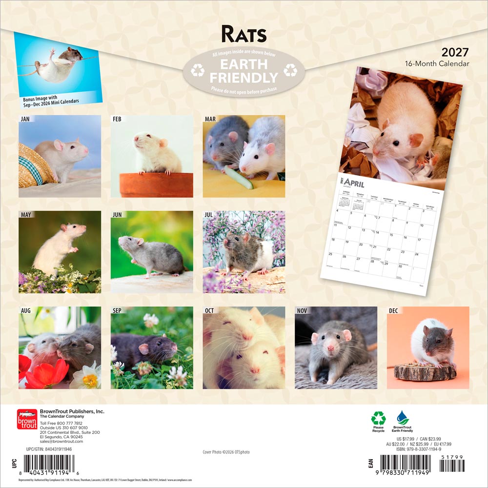 Rats | 2027 12 x 24 Inch (Hanging) Monthly Square Wall Calendar