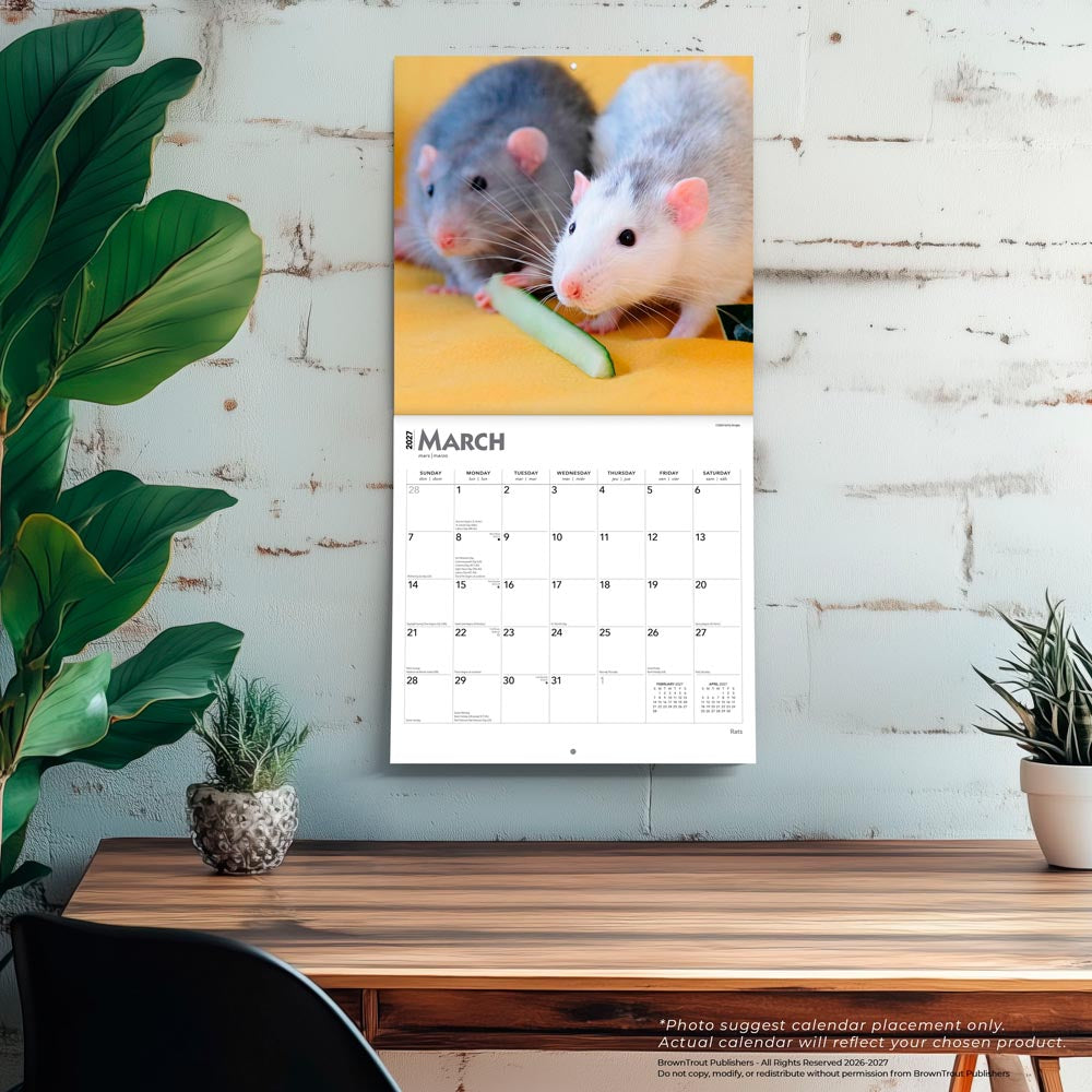 Rats | 2027 12 x 24 Inch (Hanging) Monthly Square Wall Calendar