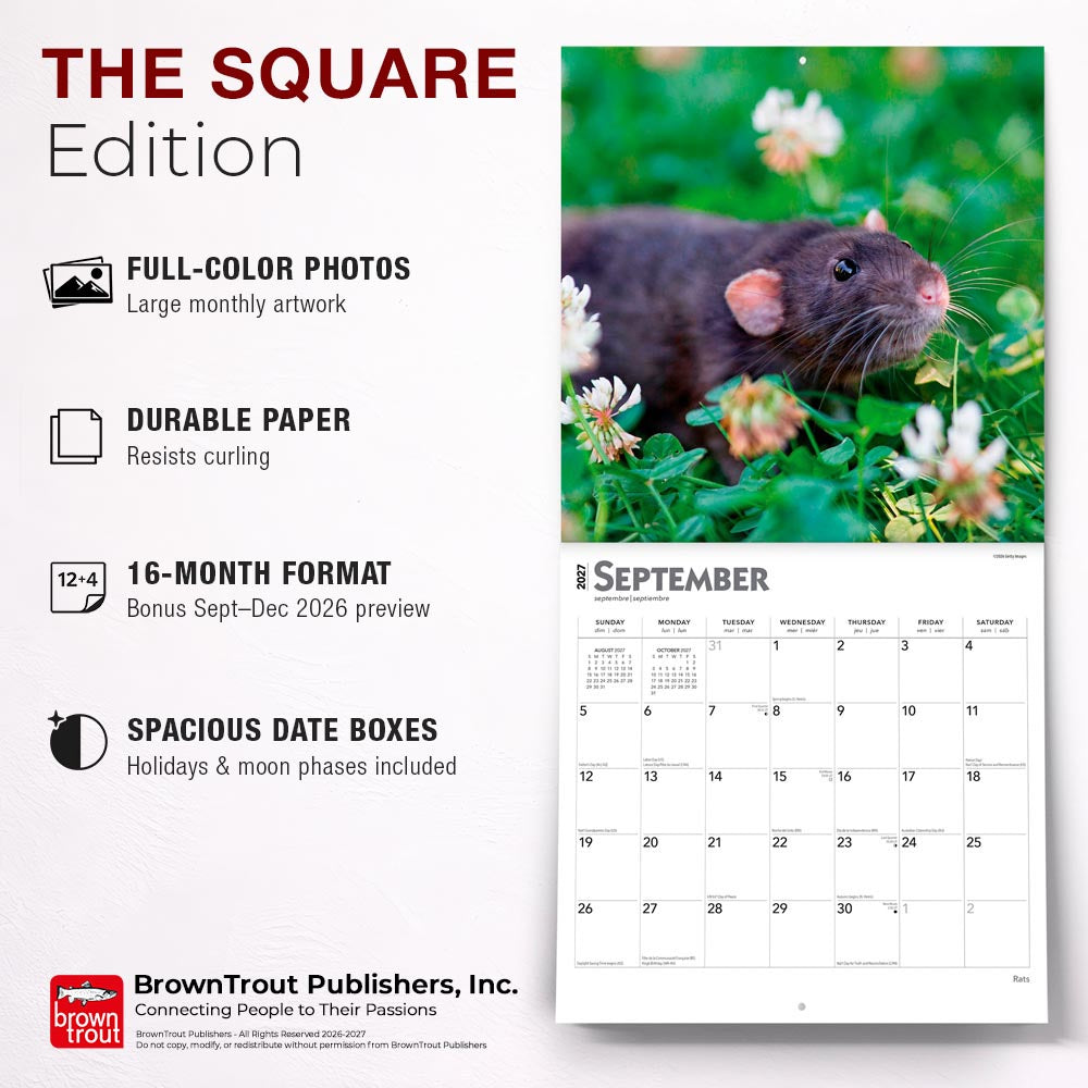 Rats | 2027 12 x 24 Inch (Hanging) Monthly Square Wall Calendar