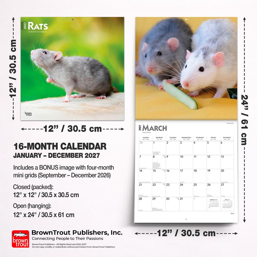 Rats | 2027 12 x 24 Inch (Hanging) Monthly Square Wall Calendar