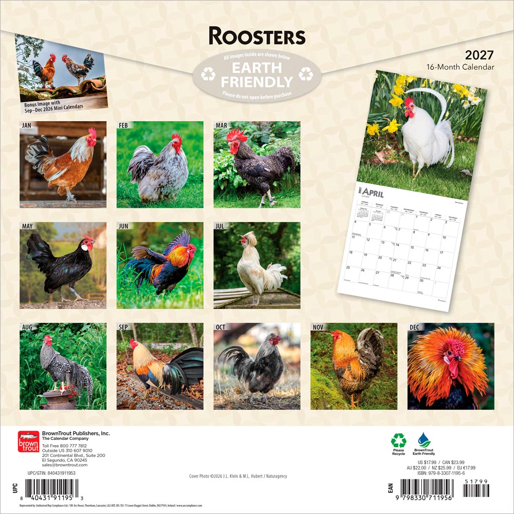 Roosters | 2027 12 x 24 Inch (Hanging) Monthly Square Wall Calendar