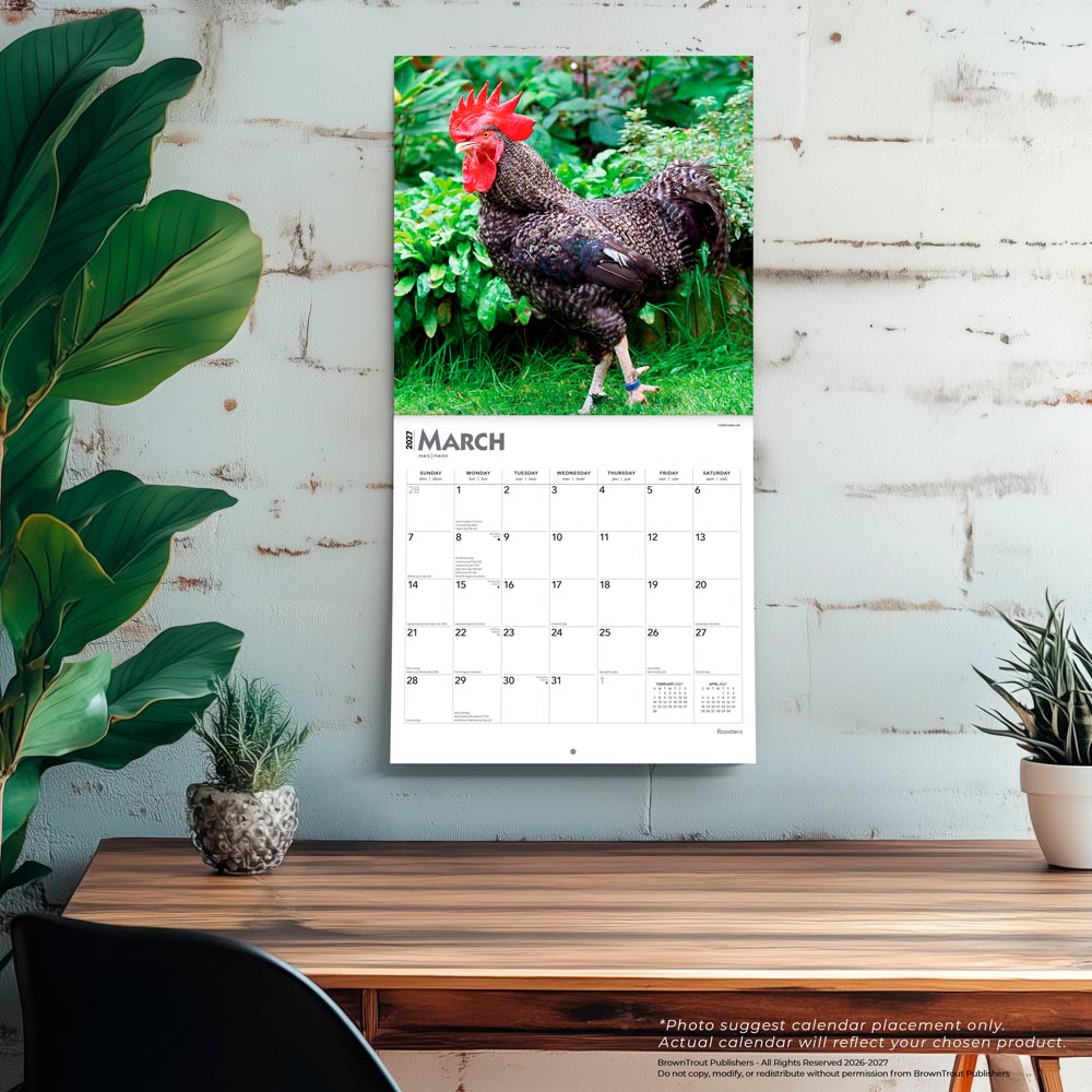 Roosters | 2027 12 x 24 Inch (Hanging) Monthly Square Wall Calendar