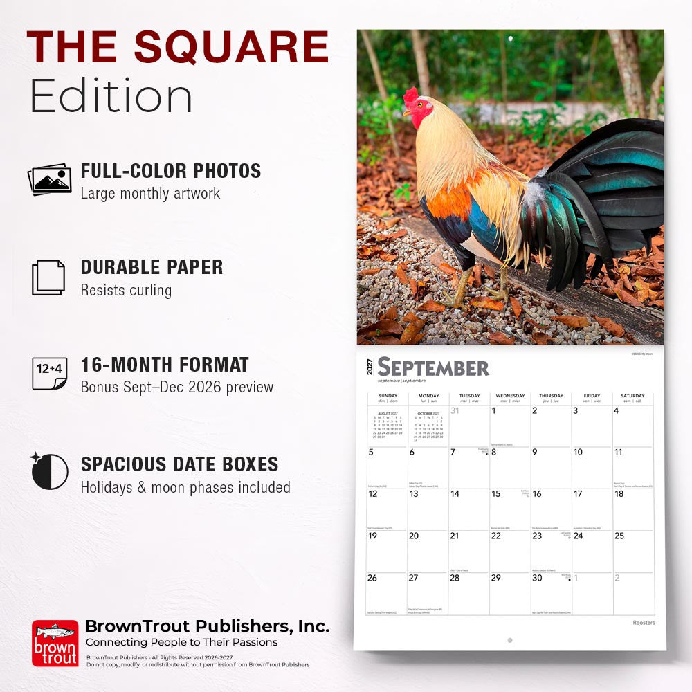 Roosters | 2027 12 x 24 Inch (Hanging) Monthly Square Wall Calendar