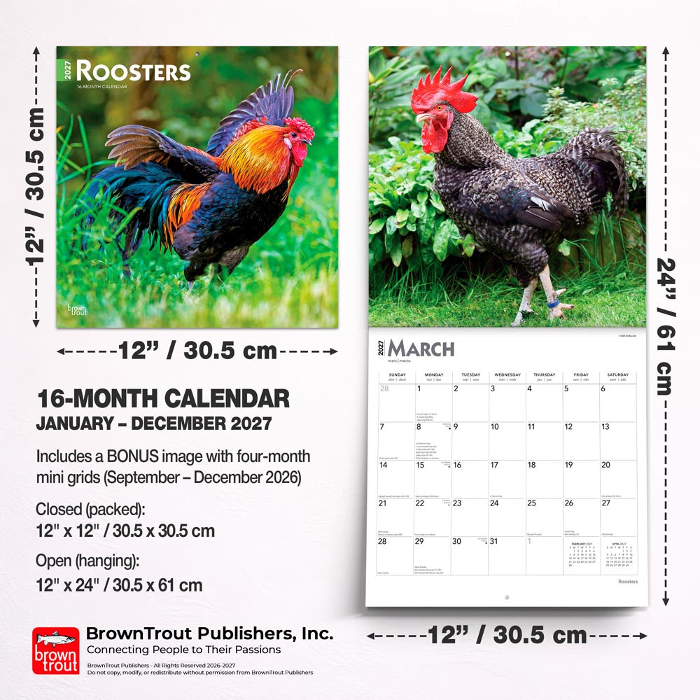 Roosters | 2027 12 x 24 Inch (Hanging) Monthly Square Wall Calendar