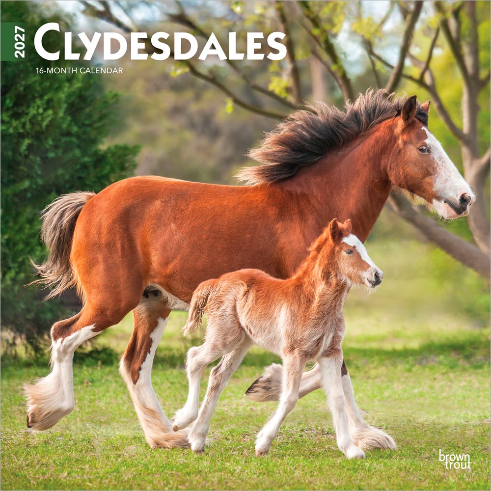 Clydesdales | 2027 12 x 24 Inch (Hanging) Monthly Square Wall Calendar