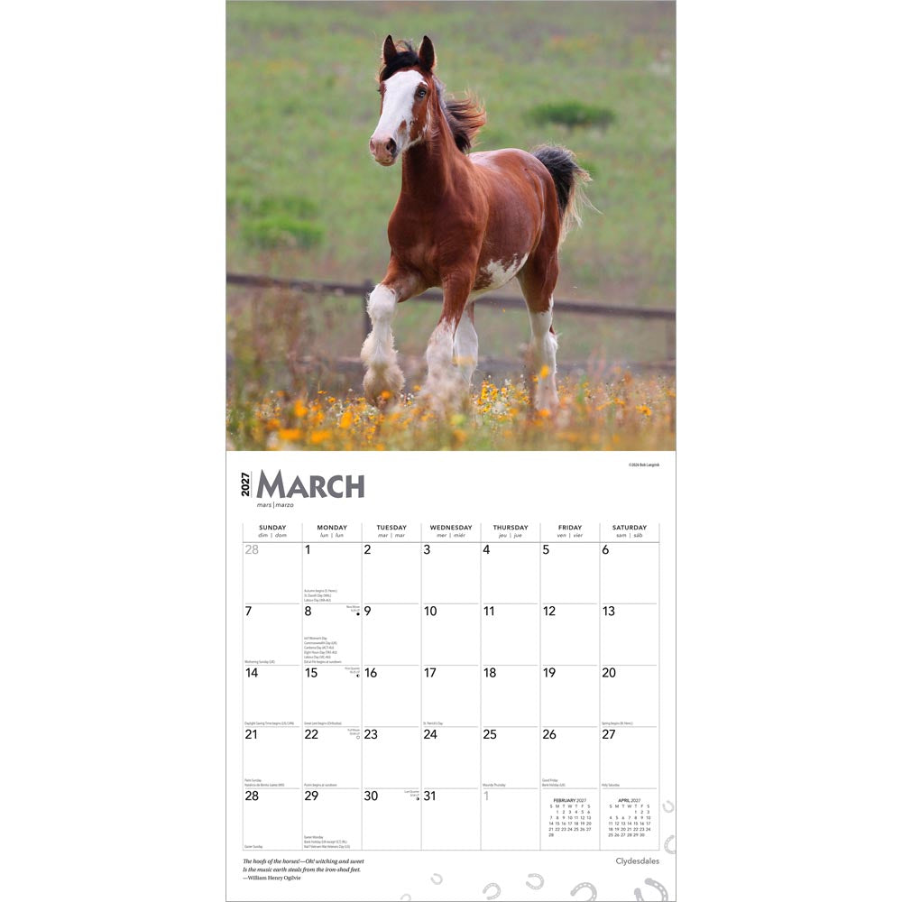 Clydesdales | 2027 12 x 24 Inch (Hanging) Monthly Square Wall Calendar