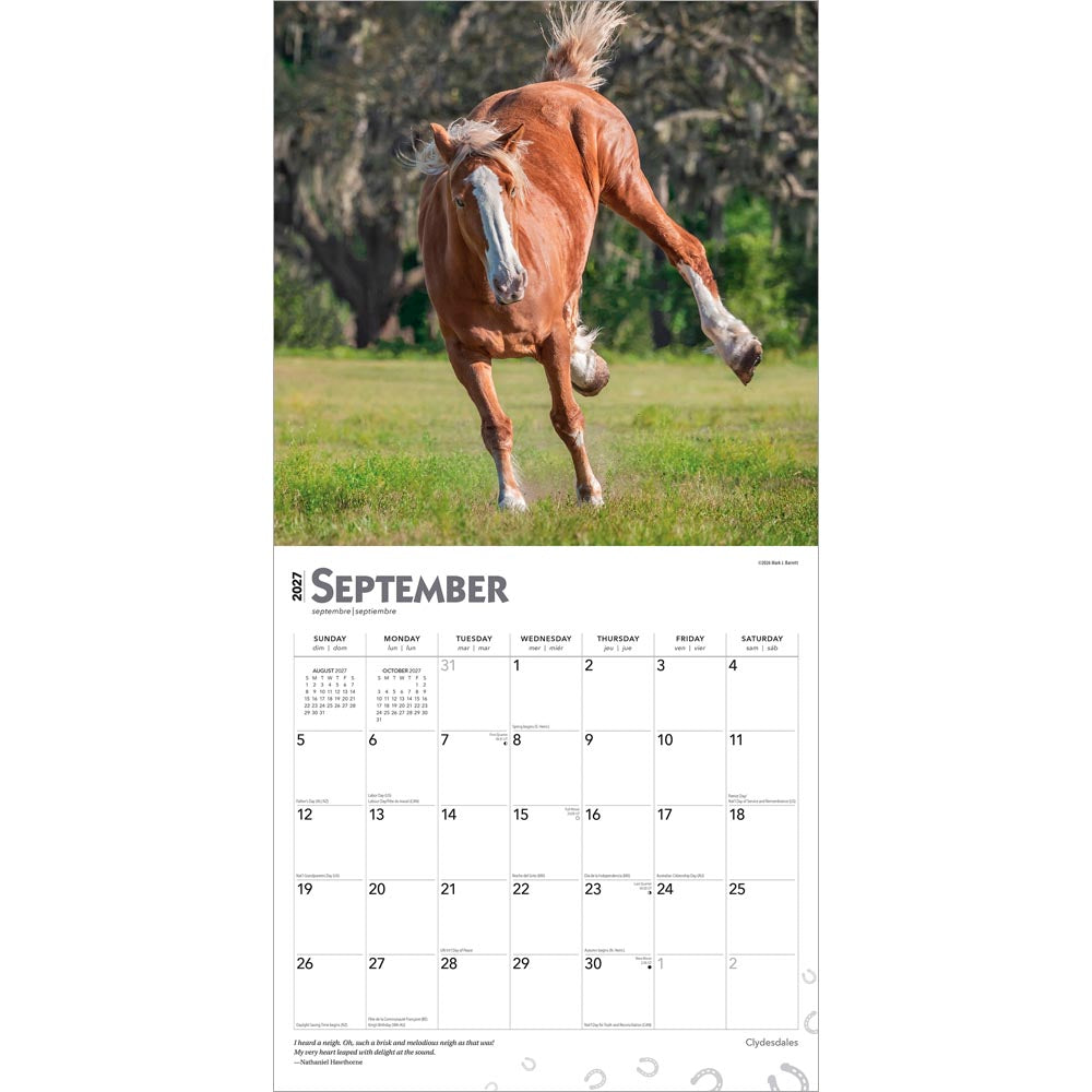 Clydesdales | 2027 12 x 24 Inch (Hanging) Monthly Square Wall Calendar
