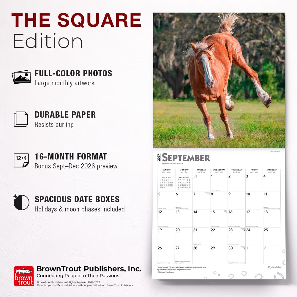 Clydesdales | 2027 12 x 24 Inch (Hanging) Monthly Square Wall Calendar