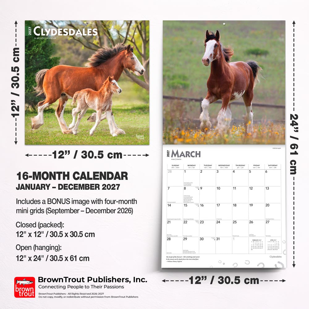 Clydesdales | 2027 12 x 24 Inch (Hanging) Monthly Square Wall Calendar