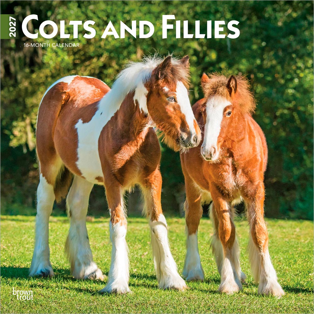 Colts and Fillies | 2027 12 x 24 Inch (Hanging) Monthly Square Wall Calendar
