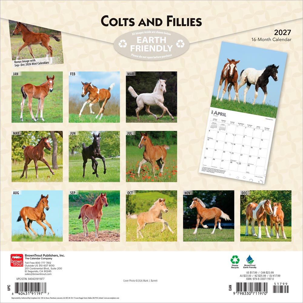 Colts and Fillies | 2027 12 x 24 Inch (Hanging) Monthly Square Wall Calendar