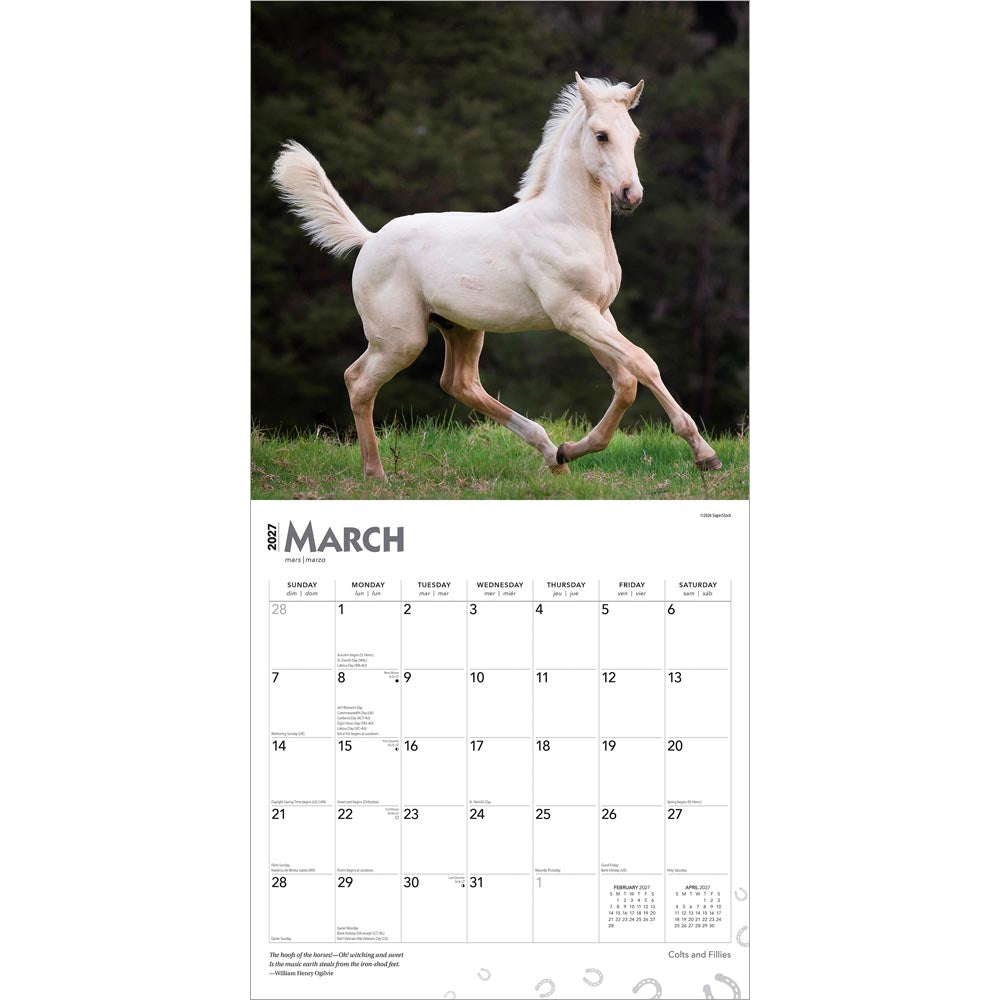 Colts and Fillies | 2027 12 x 24 Inch (Hanging) Monthly Square Wall Calendar
