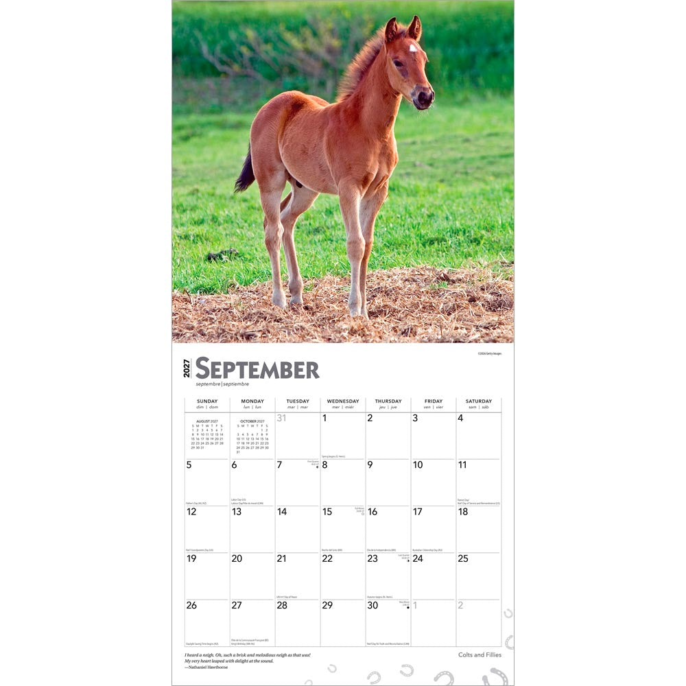 Colts and Fillies | 2027 12 x 24 Inch (Hanging) Monthly Square Wall Calendar