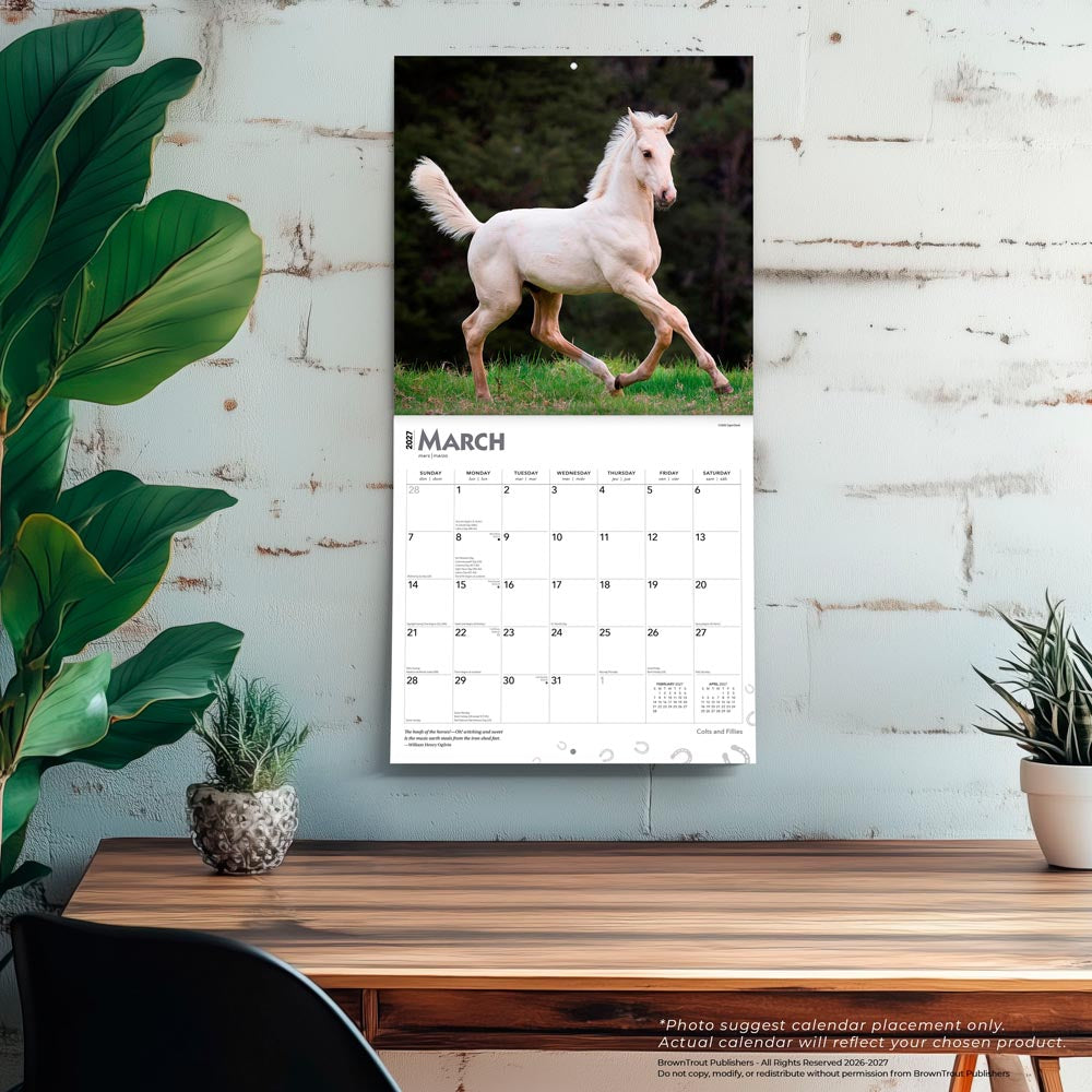 Colts and Fillies | 2027 12 x 24 Inch (Hanging) Monthly Square Wall Calendar