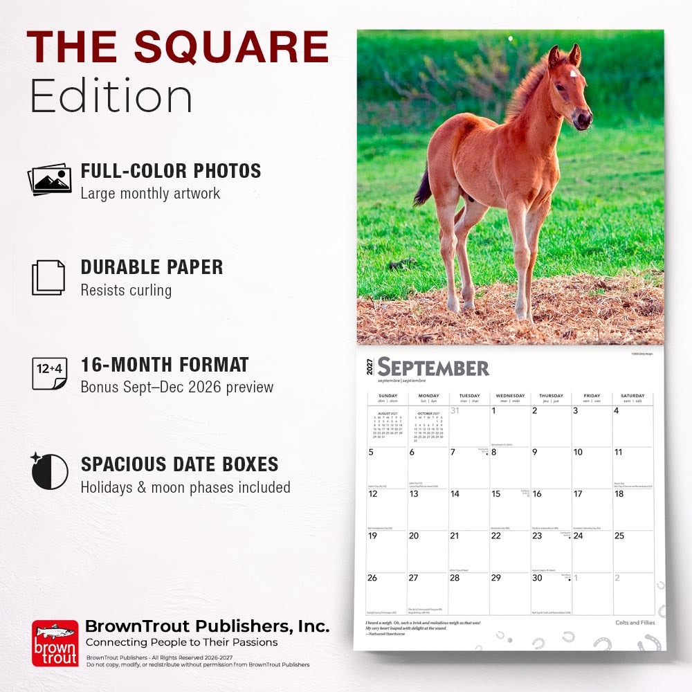 Colts and Fillies | 2027 12 x 24 Inch (Hanging) Monthly Square Wall Calendar