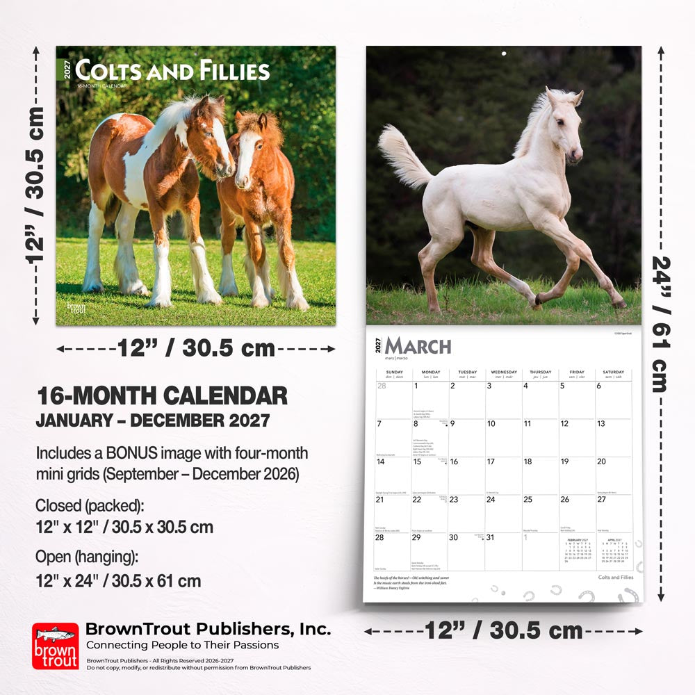 Colts and Fillies | 2027 12 x 24 Inch (Hanging) Monthly Square Wall Calendar