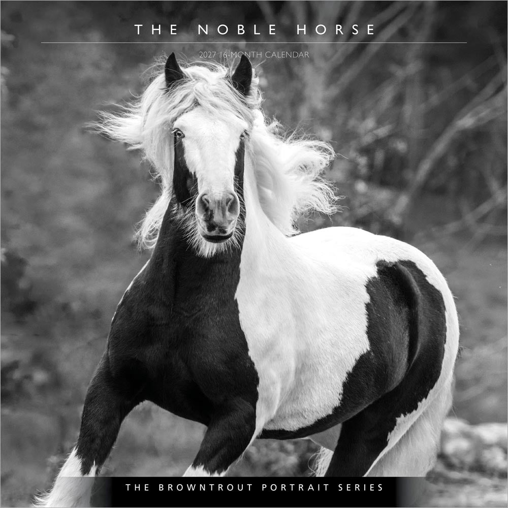 The BrownTrout Portrait Series: The Noble Horse | 2027 12 x 24 Inch (Hanging) Monthly Square Wall Calendar