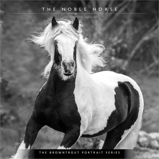 The BrownTrout Portrait Series: The Noble Horse | 2027 12 x 24 Inch (Hanging) Monthly Square Wall Calendar